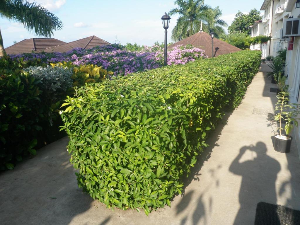 Hotel Relax Resort Montego Bay Luaran gambar